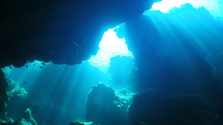 【ダイビング】沖縄の海には神秘的な絶景スポットがたくさんありダイビングを思う存分楽しむことができます