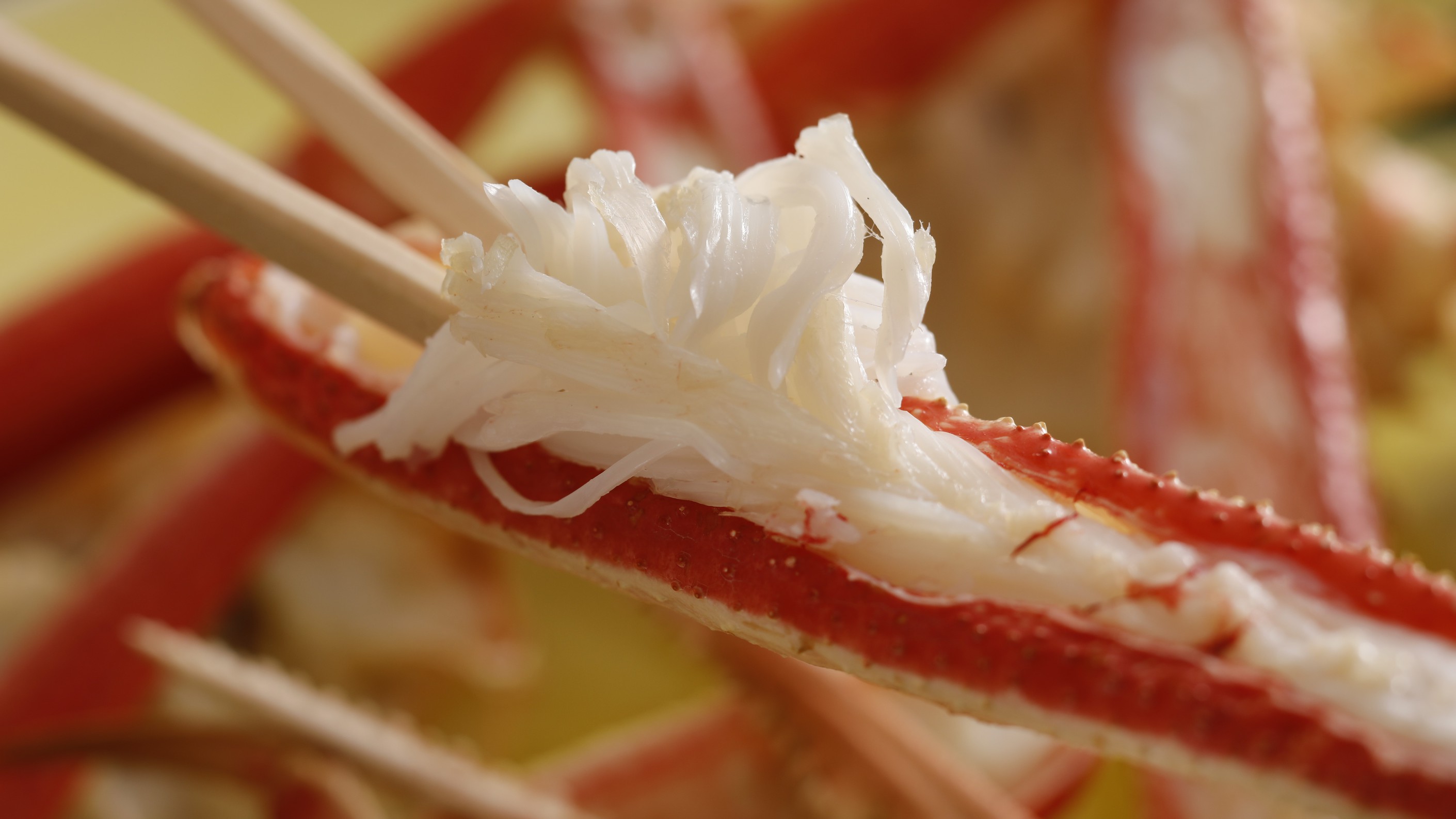 【冬・平日限定】かに1杯でかに刺し、焼きがに、天ぷらに魚介類も味わう◆リーズナブルな得旅カニコース