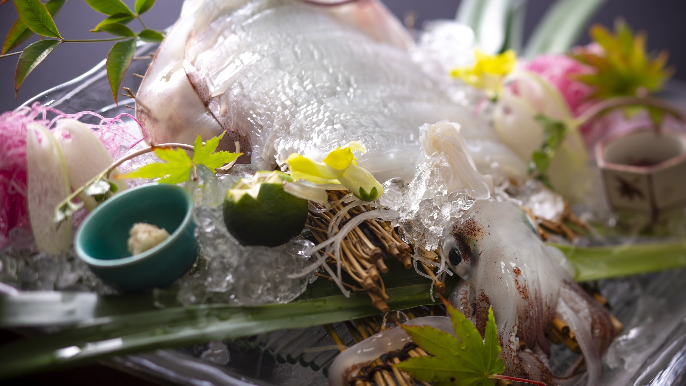 【初夏の豪華美食】新鮮な海の幸のお造り6種、活イカ、岩牡蠣、とり貝、活アワビなど旬の高級食材を堪能！