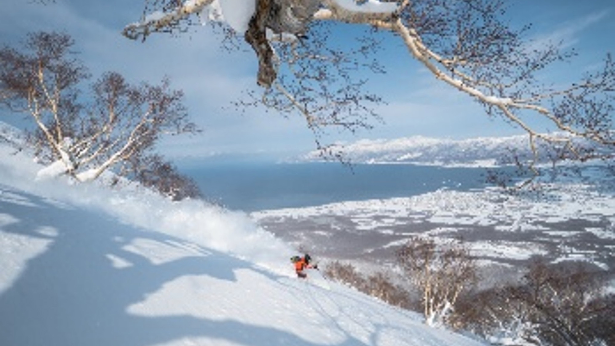 本物に出会える旅「DISCOVER IWANAI」人気No.1★アワビ踊り焼き付き♪海鮮和食会席膳