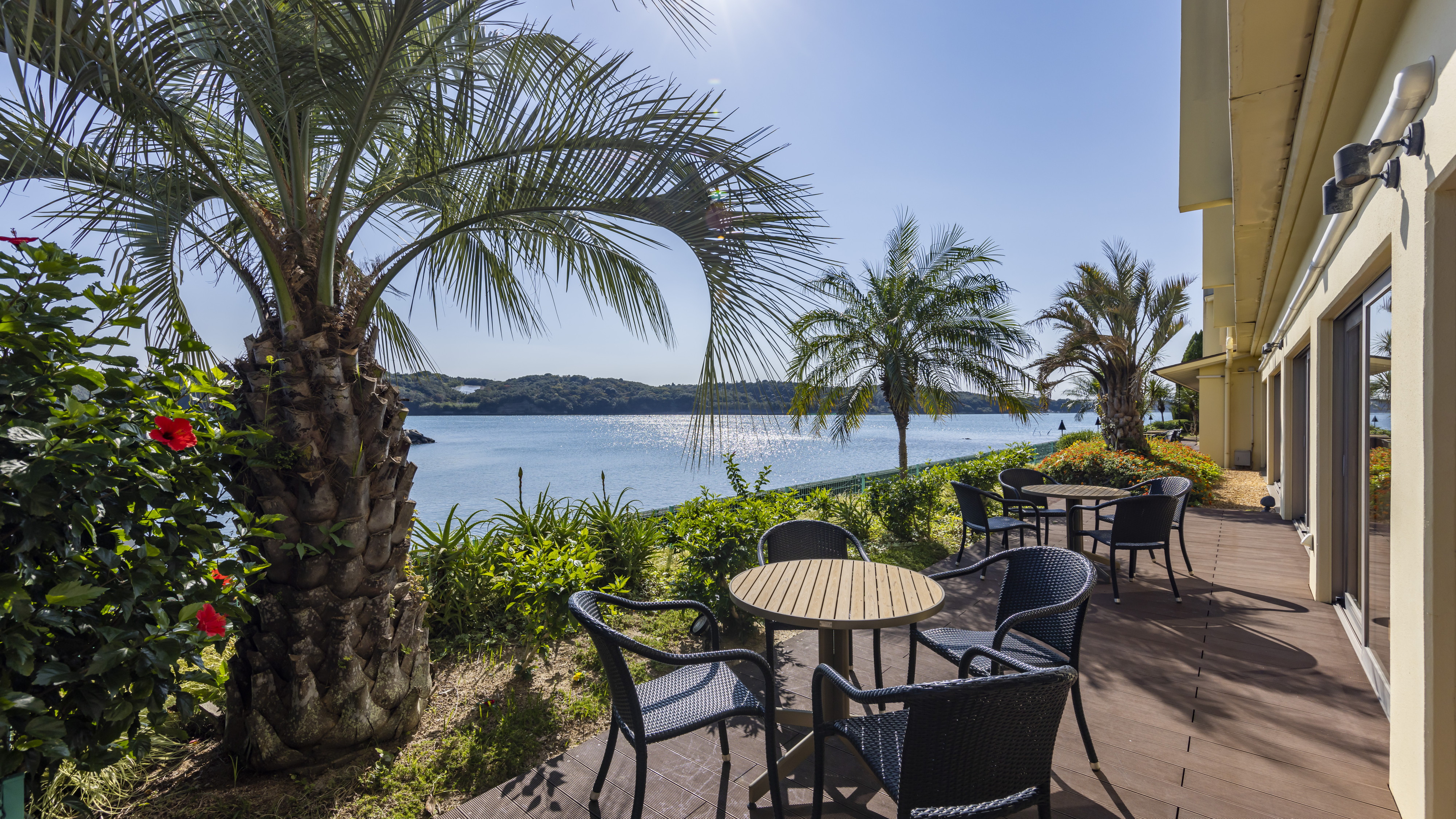 テラスからの海の眺め