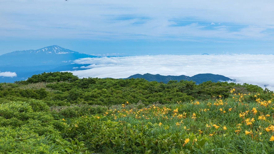 *風景／弥陀ヶ原湿原