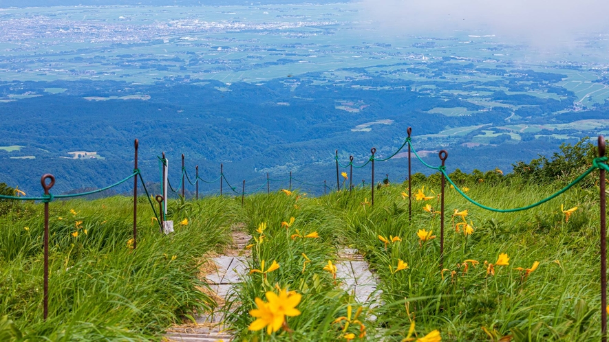 *風景／弥陀ヶ原湿原