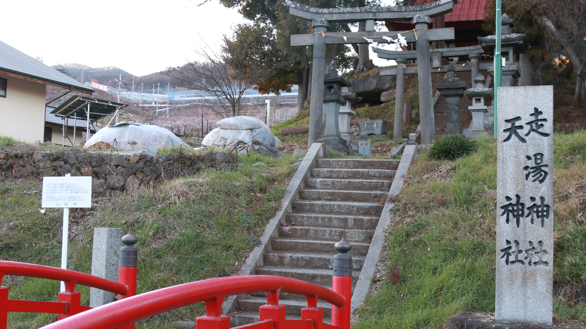 周辺◆走湯神社