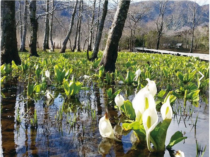 箱根は山も温泉も湖も楽しさがぎっしり詰まった宝箱。貸し切り絶景露天 石風呂 はいぃ気持ち！☆現金特価