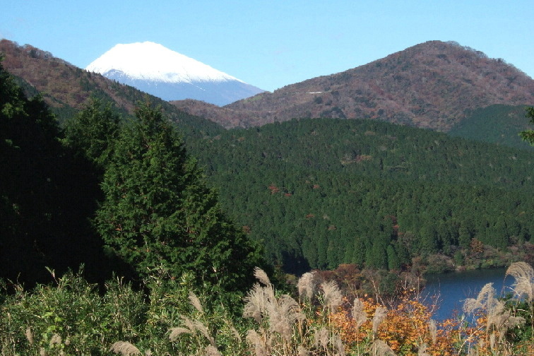 ◎今・一番のオススメ◎春風薫る箱根路と湯けむりあがる『空飛ぶ石風呂』でリフレッシュ！現金特価。