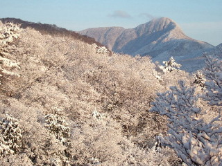 夜、雪が降っていて朝には晴れ上がると、こんな景色が窓の外に広がります。