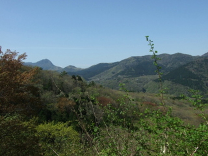 ｗ空飛ぶ石風呂ｗに並んで浸かって、向こうに見える山並みは箱根外輪山です