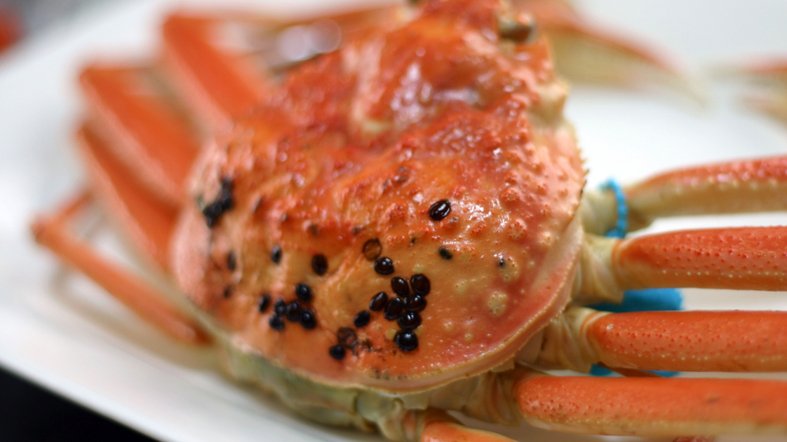 川端荘のスタンダード海鮮会席に1杯のカニ付き！大満足プラン♪