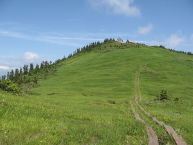 駒ケ岳