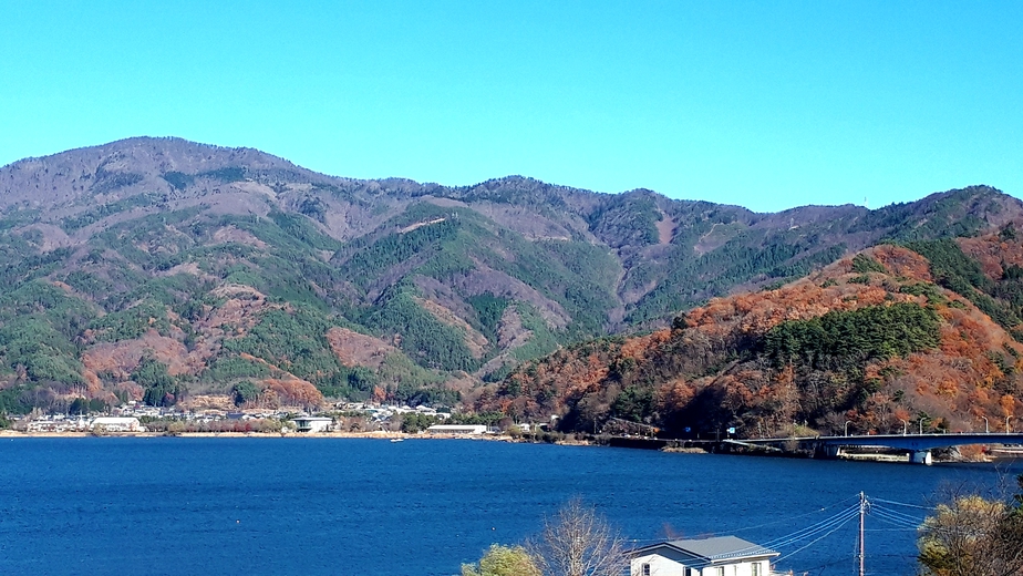 【素泊まり】気軽に素泊まりプラン