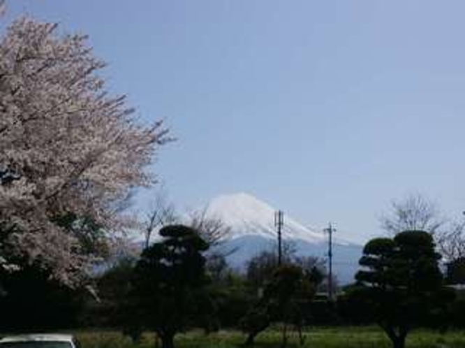 2014.4.18桜