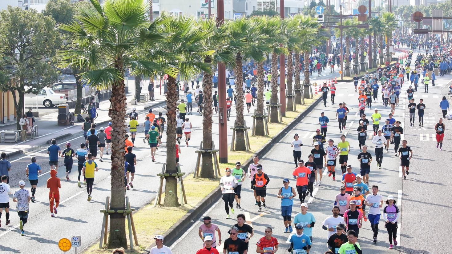 青太マラソン！中心街メインストリートから終盤は太平洋を望む超人気コース！