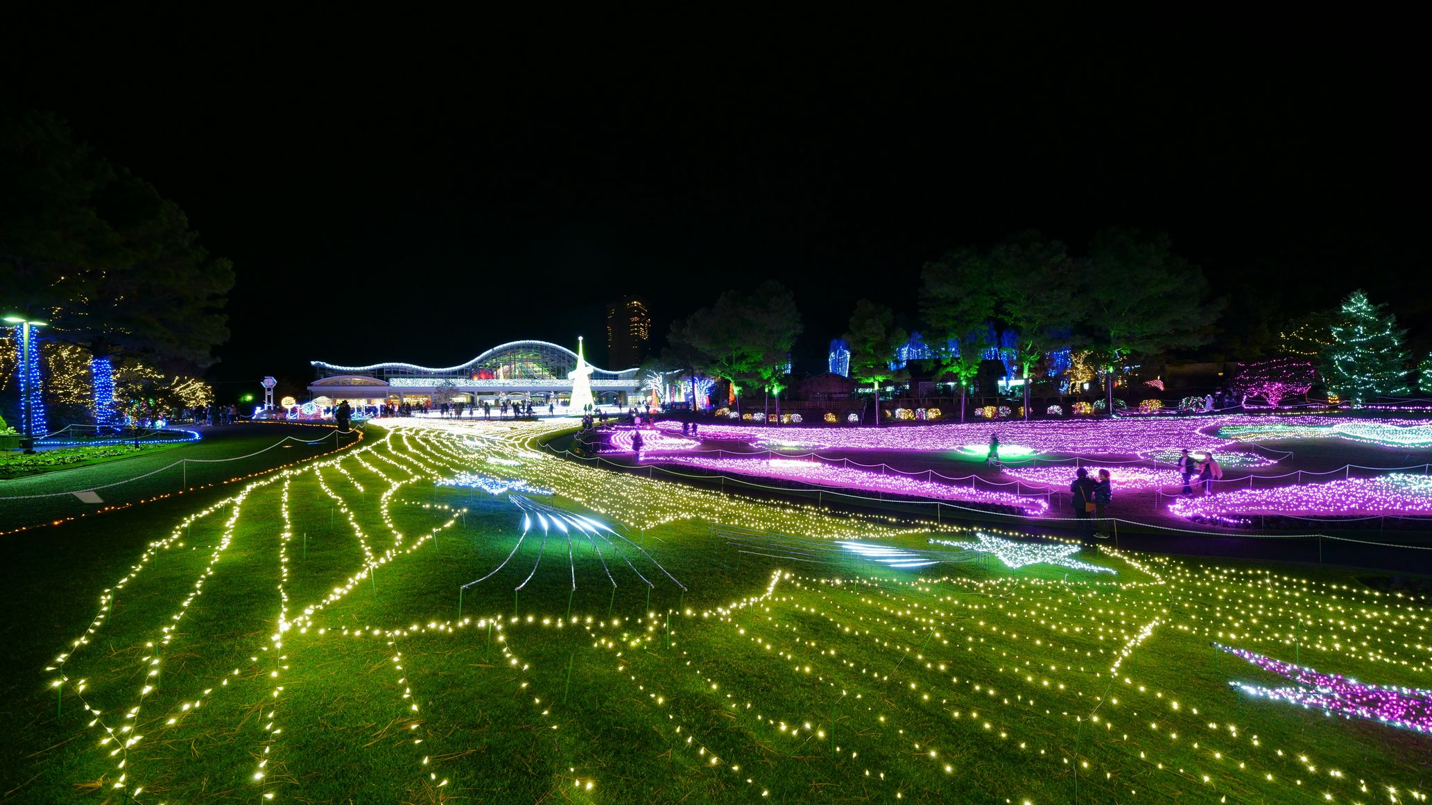 フローランテ宮崎のイルミネーションは見に行きましたか？！（車で15分）キッチンカーも出店♪