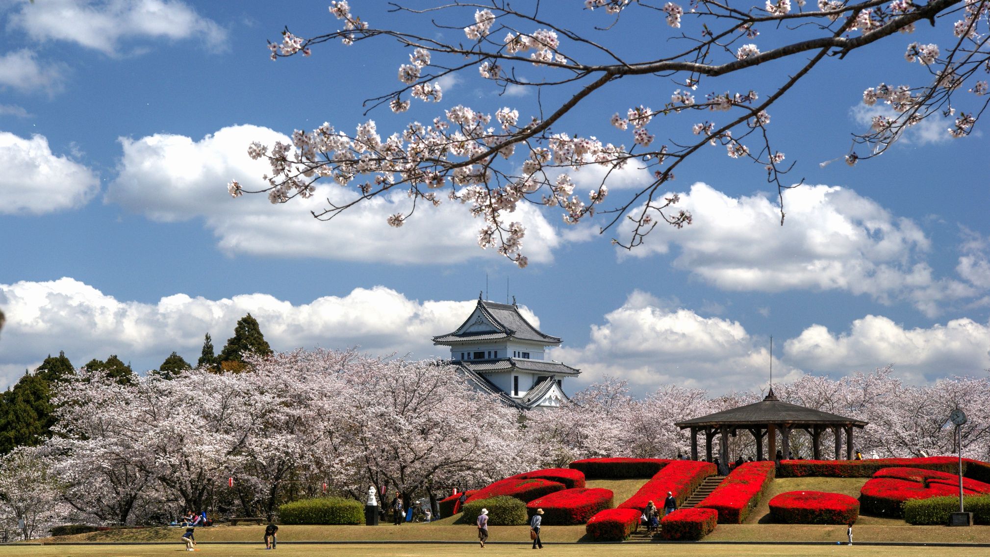 宮崎でお城と桜といえばココ、天ケ城公園までは車で20分です！夜はライトアップも♪