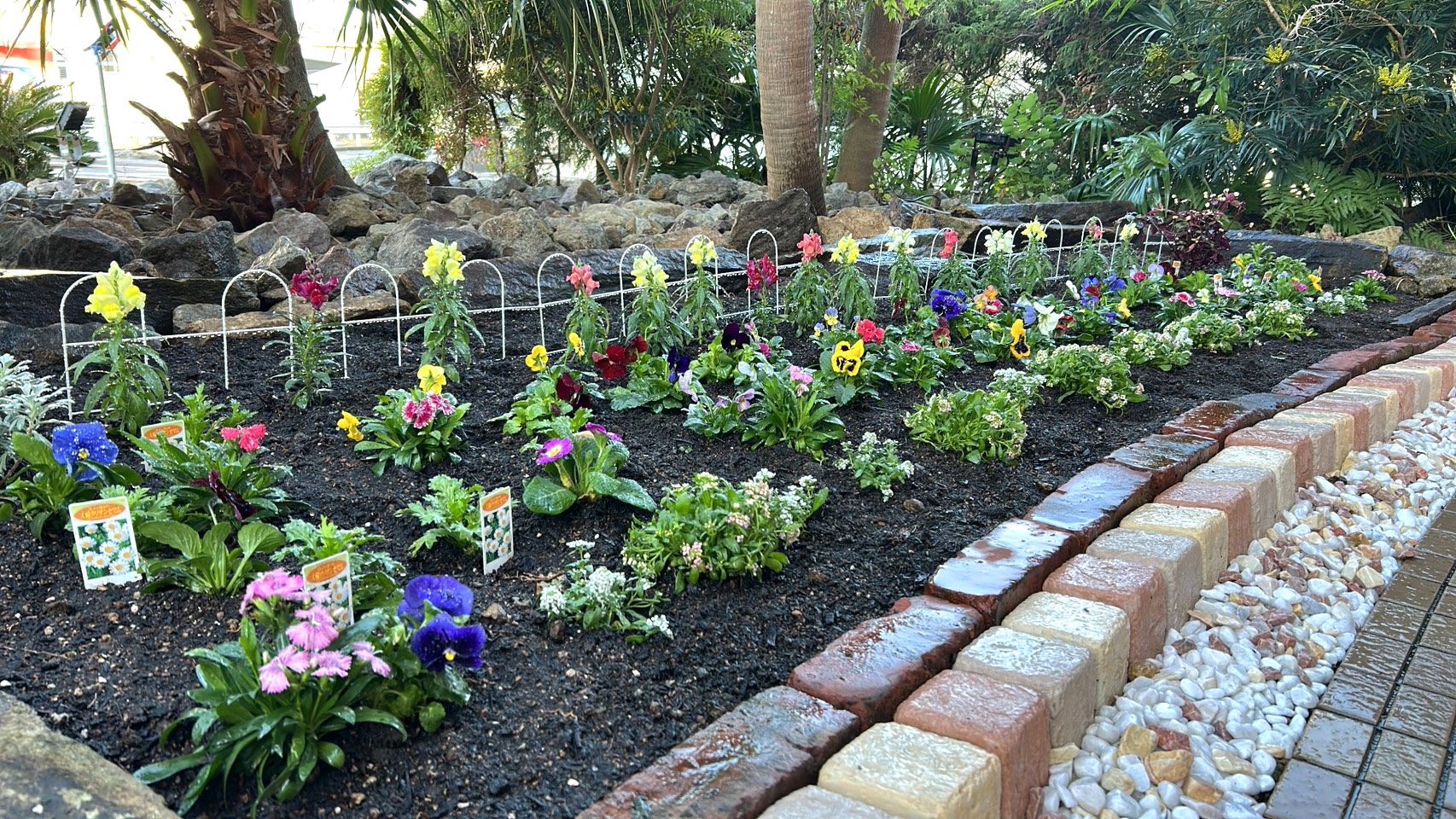 朝食会場（ラウンジ）横には花壇のお花さんたちが皆さまの目を楽しませてくれます^^♪