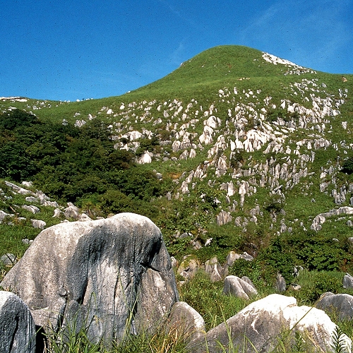 「ワケアリ」だからお得です！【1泊限定！】素泊まりシンプルステイプラン！