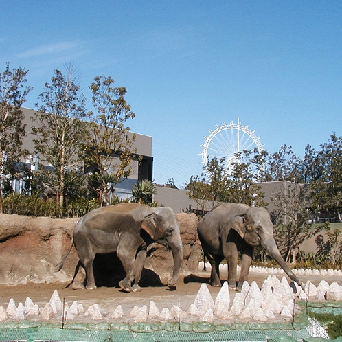 いとうづの森動物園