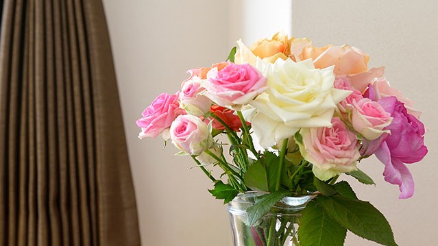 菊川特産のバラをご用意