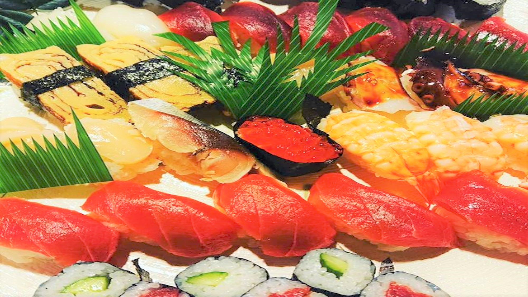 ホテル玄 御前崎 写真 動画 楽天トラベル ホテル玄 御前崎 写真 動画 楽天トラベル