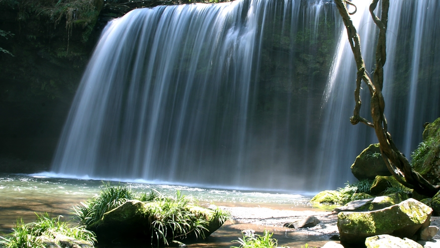 鍋ケ滝：当館より車で約75分。滝のいちばんの魅力は滝を裏側から眺めることができます。