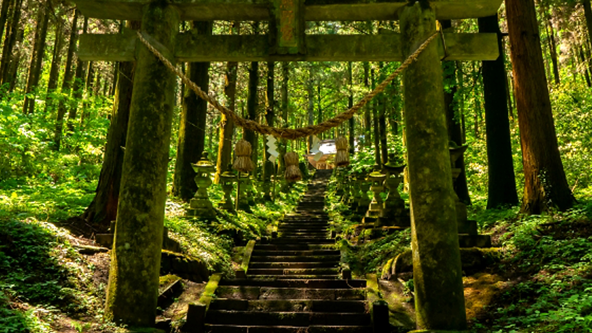 上色見熊野座神社：人気を集めるパワースポット！異世界のような景色をご体感ください。当館より約20分。