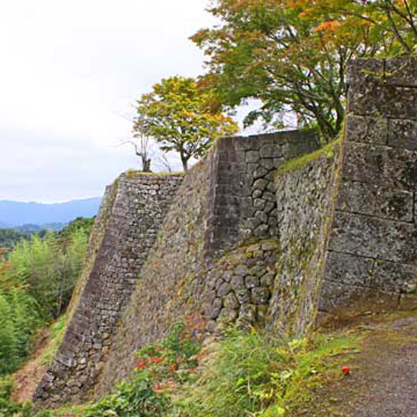 岡城阯【車で約35分】