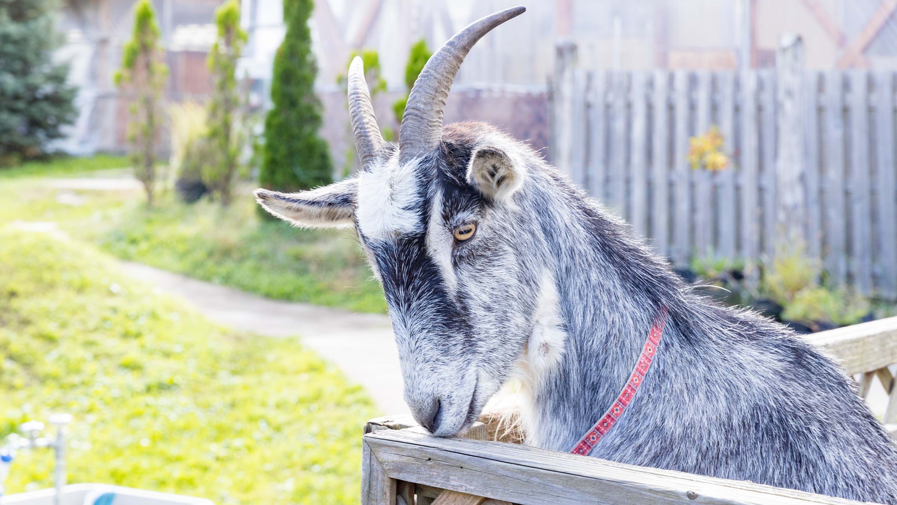 【観光・おいらせ町】アグリの里おいらせ
