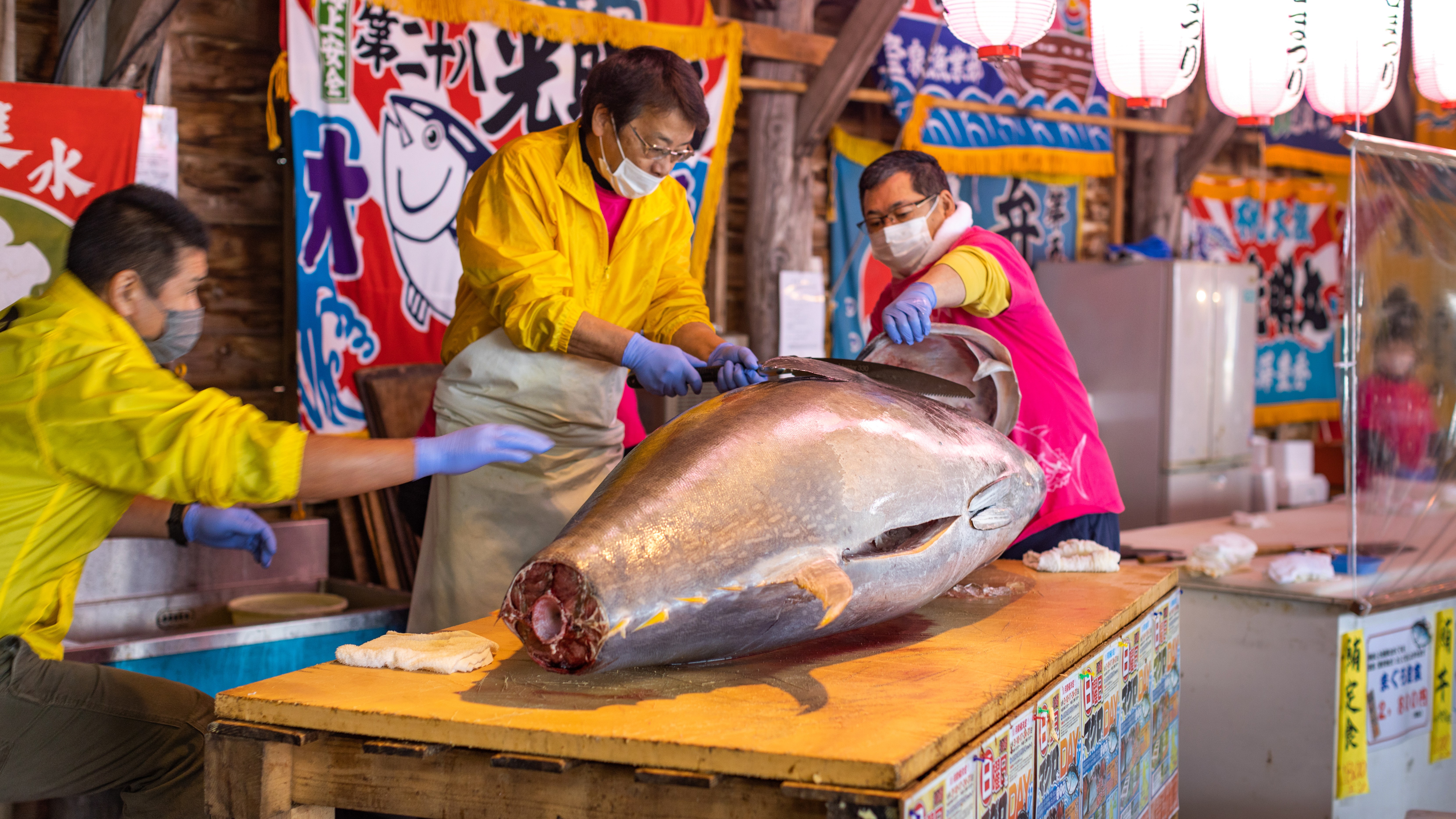 【イベント・大間町】日曜日はマグロだDAY