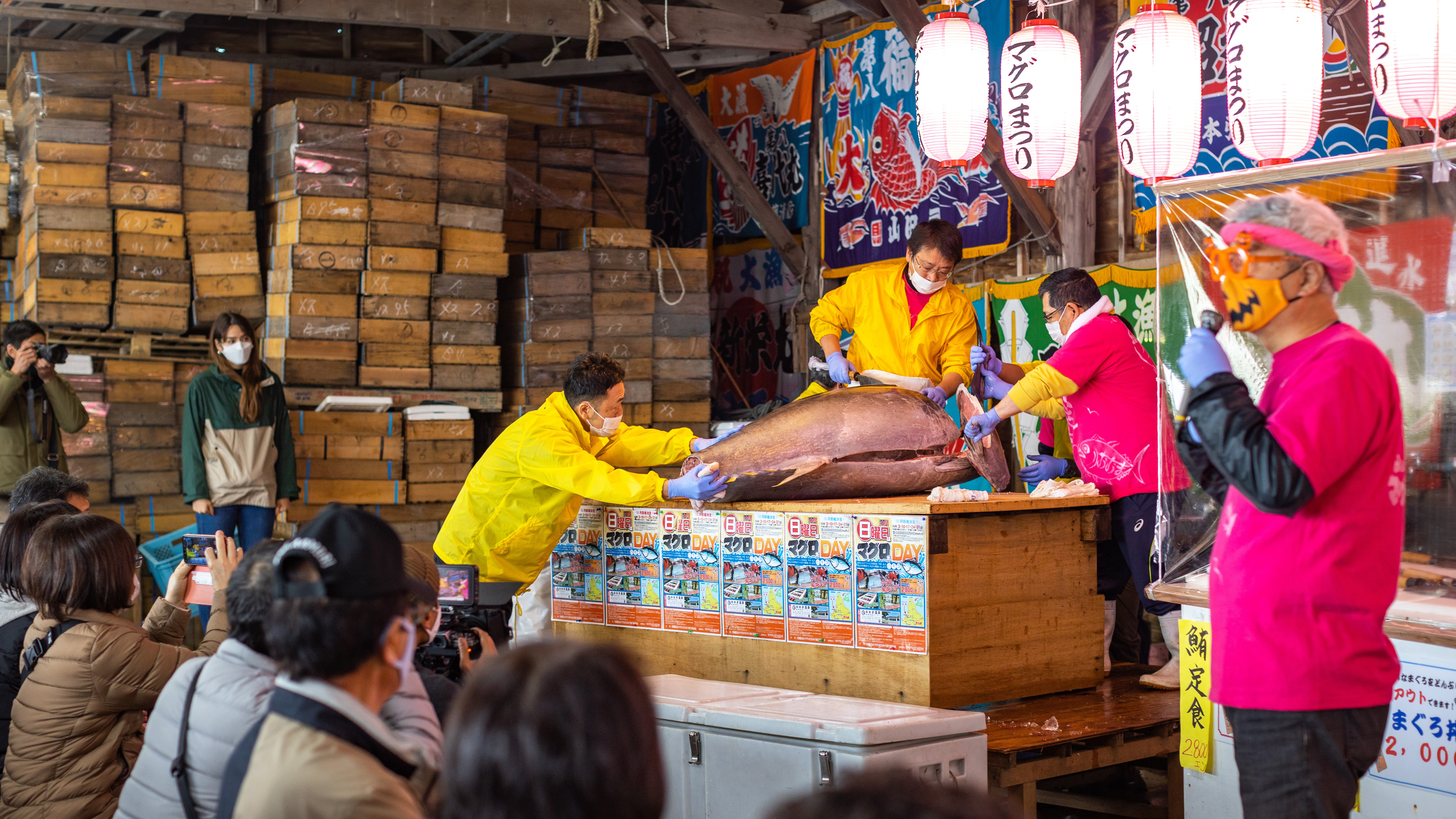 【イベント・大間町】日曜日はマグロだDAY