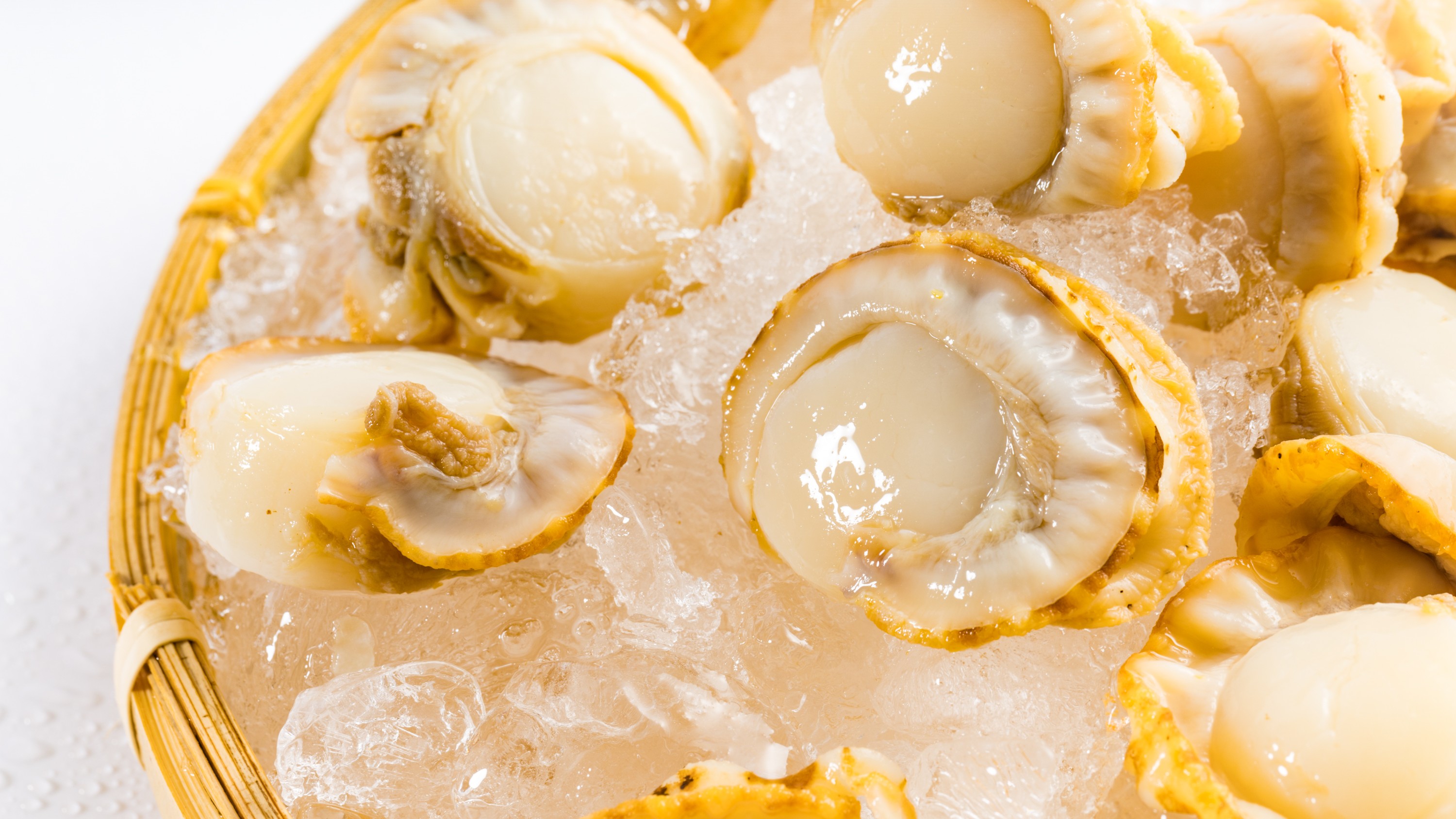 【グルメ・東通村】ボイル帆立