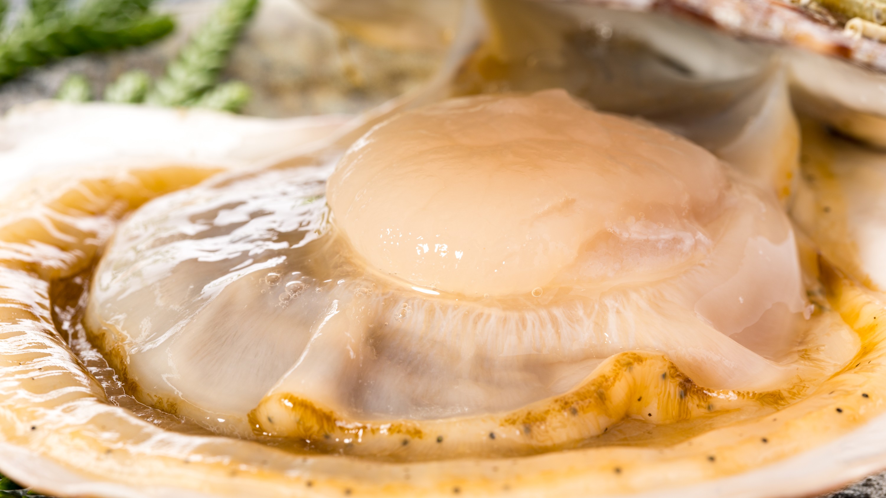 【グルメ・東通村】生ホタテ