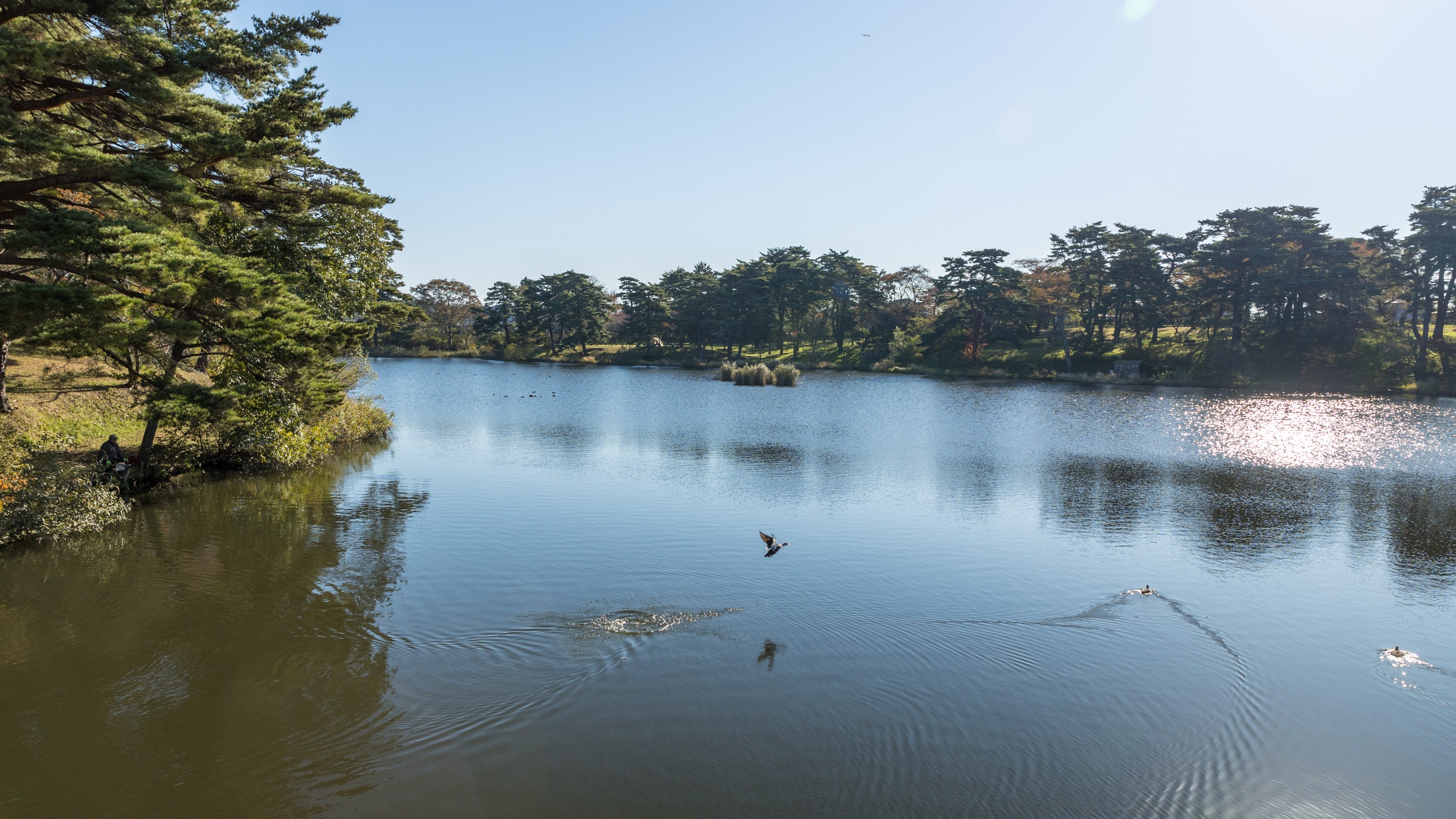 【観光・六戸町】舘野公園