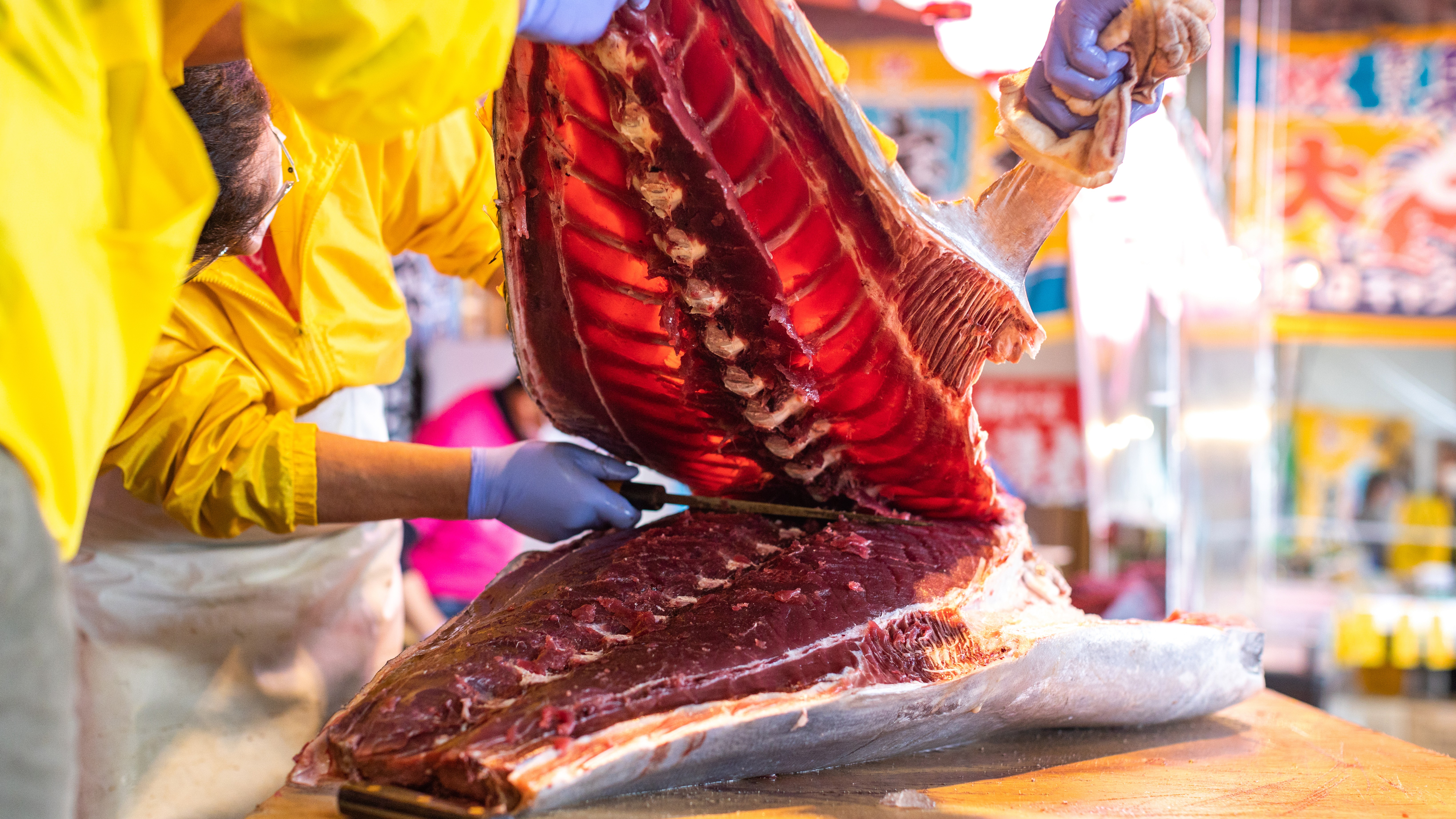【イベント・大間町】日曜日はマグロだDAY