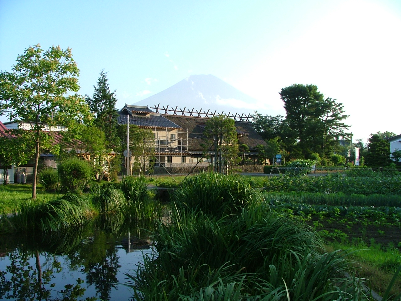 レイク忍野よりの初夏の富士山