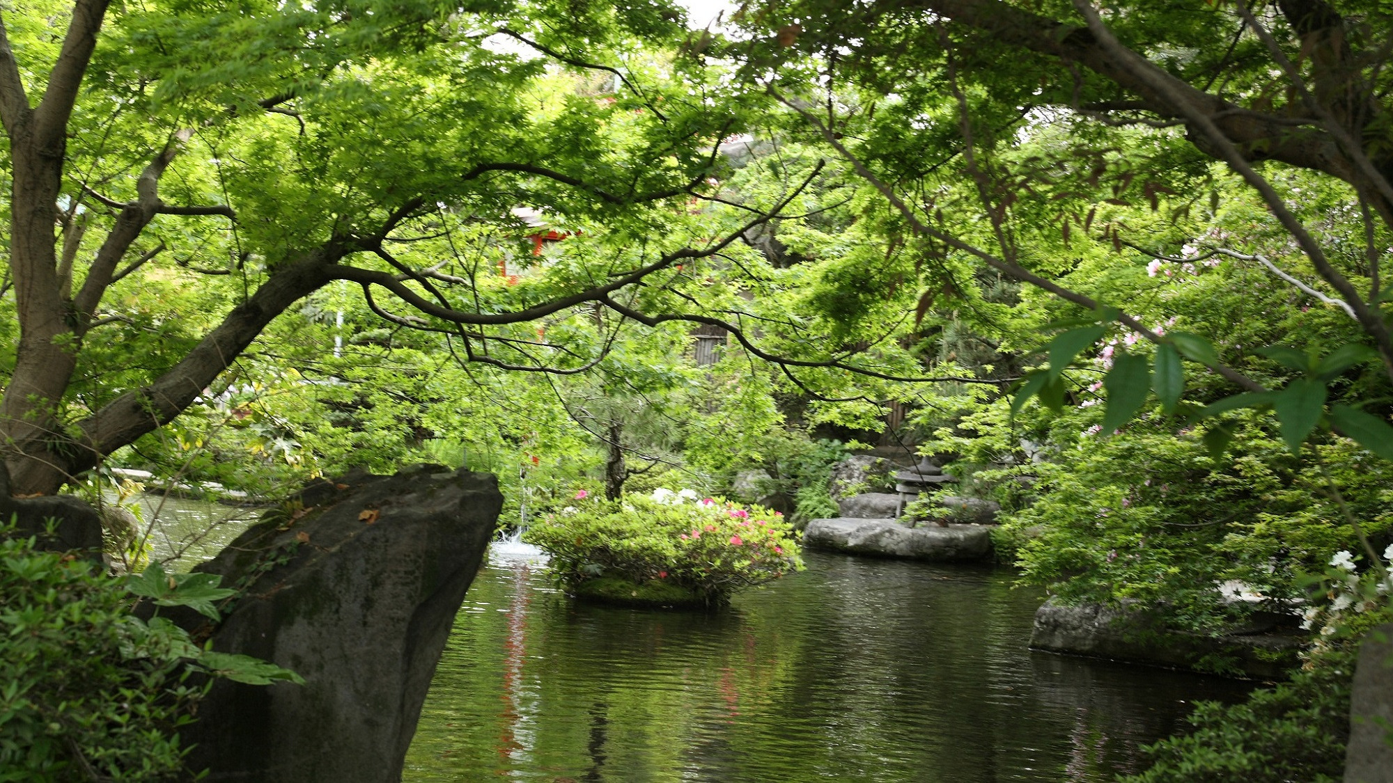 【離れ家・紅塵庵】～日本庭園を見ながらのんびりと・・・～