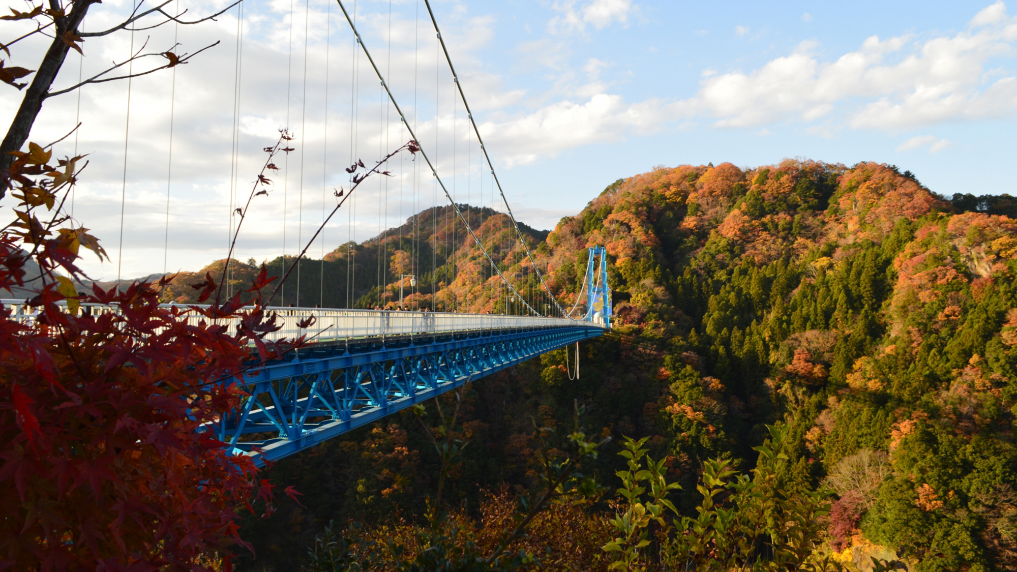 竜神大吊橋