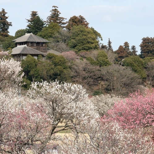 水戸の偕楽園