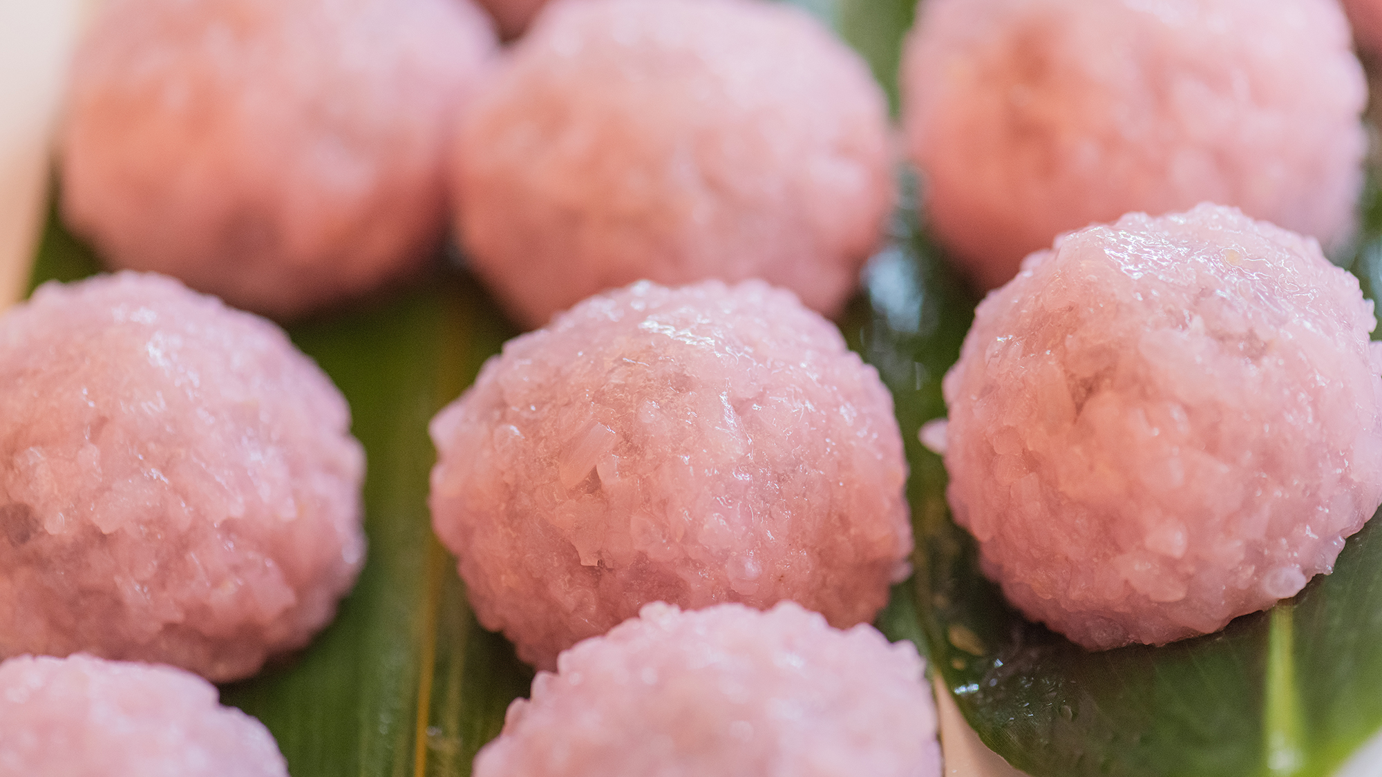 桜餅★3/1～4/26まで