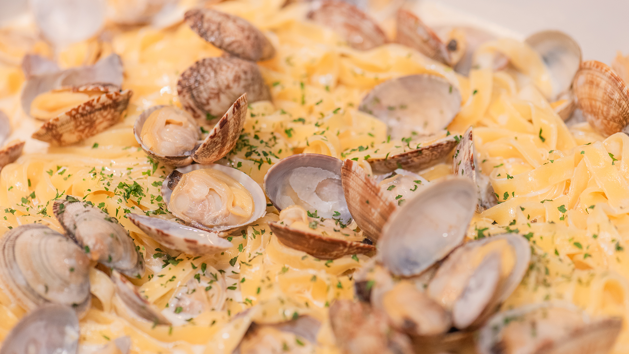 あさりのフィットチーネクリームソース★（日替わり）3/1～4/26まで