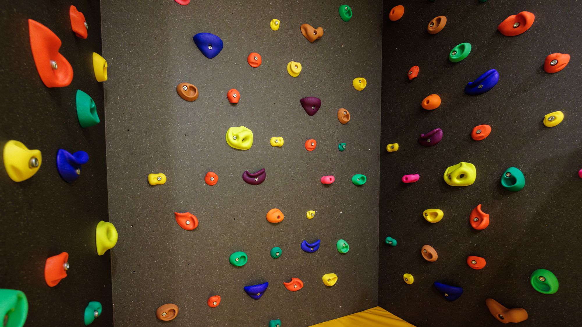 【ファミリールーム「ゆう」】リニューアル新客室。客室内にキッズボルダリング付！