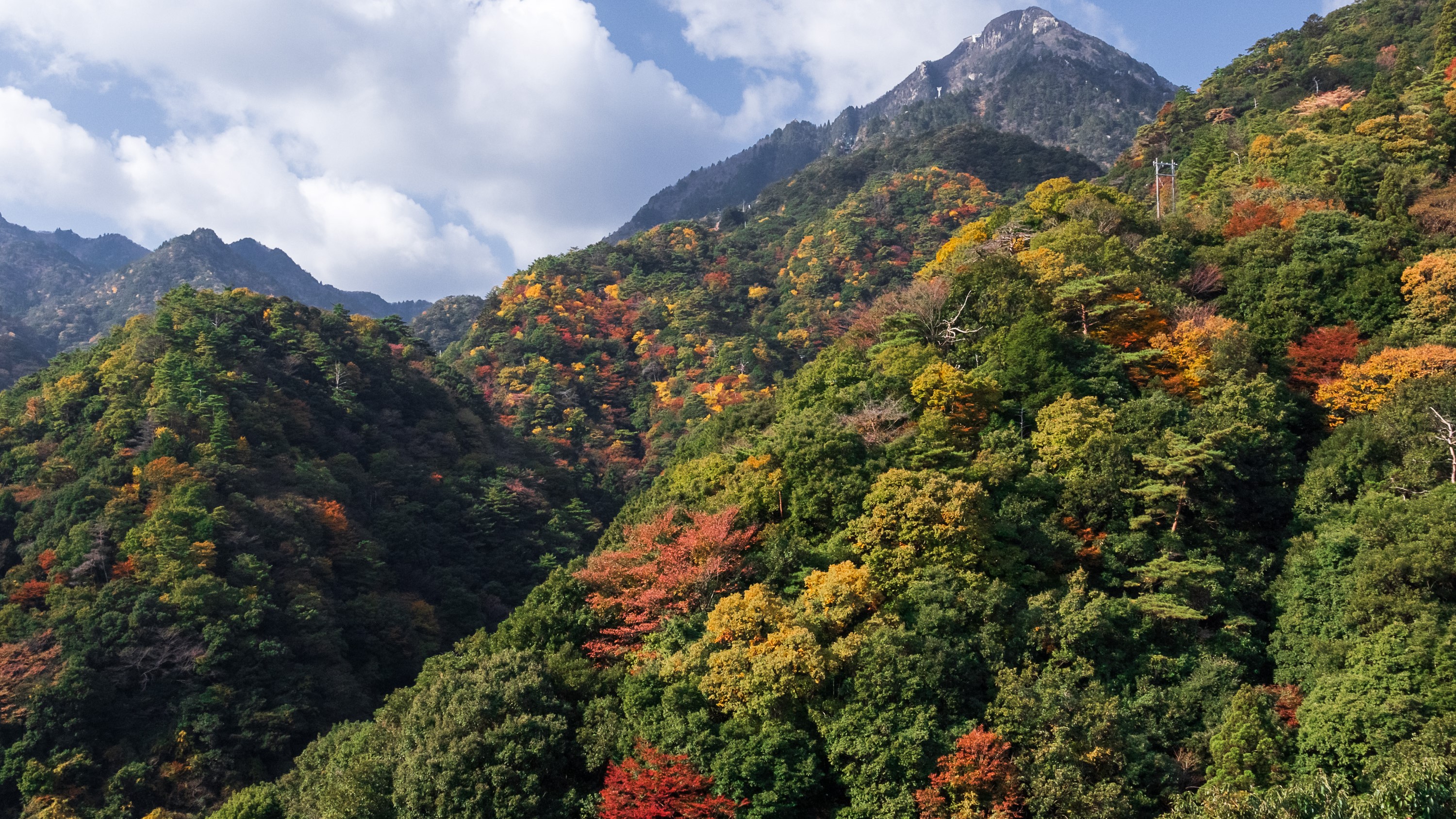 【当館からの景色】当館を囲む湯の山の風景