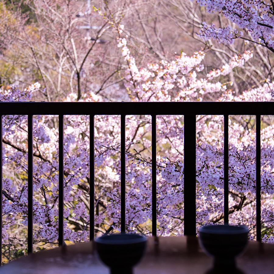 【客室からの眺め】ほっとひと息つきながら、榊原の山々と桜を愛でてみるのも◎