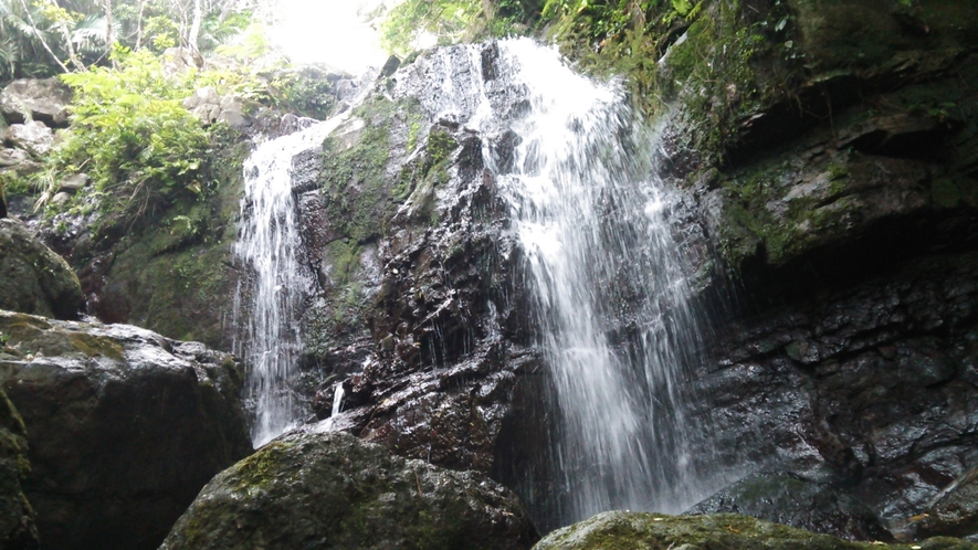 野底岳ふもとに流れる小さな滝