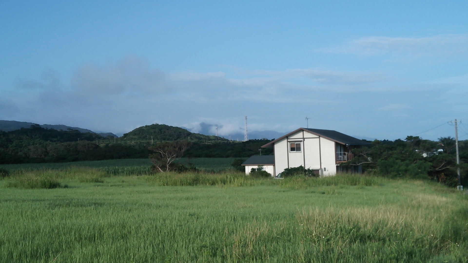 自然豊かな場所です