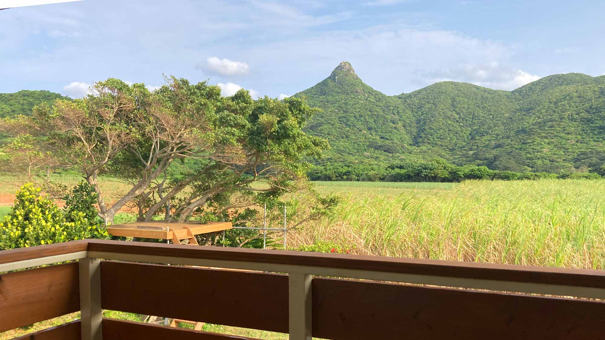 ・＜マウンテンビューツインルーム＞こちらのお部屋はペット可能です！