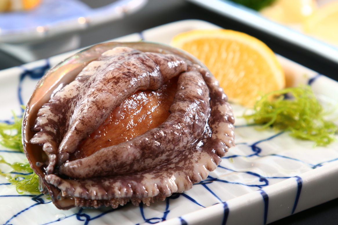 【お日にち限定】気ままに一人旅を♪駿河湾の天然生け簀からの海の幸を独り占め！