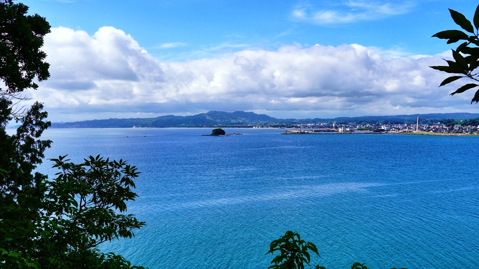 【ビジネス応援】特別特価！氷見ならではのお食事付き　1名様歓迎♪お値打ちプラン【1泊2食付き】