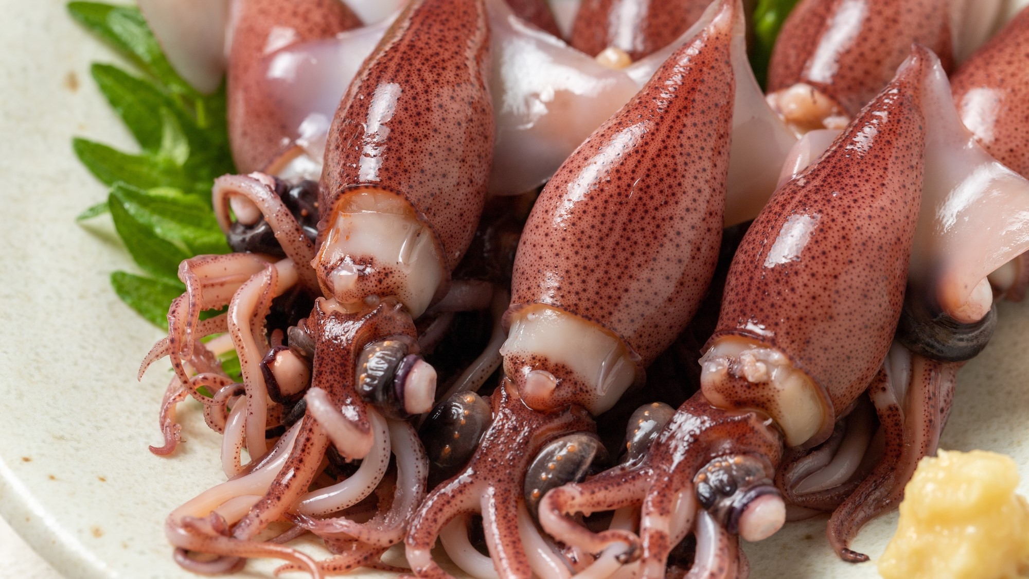 【富山の春】　富山湾の春の風物詩『ホタルイカ』 ぷりっぷりの食感に感動♪1泊2食付｛個室食｝