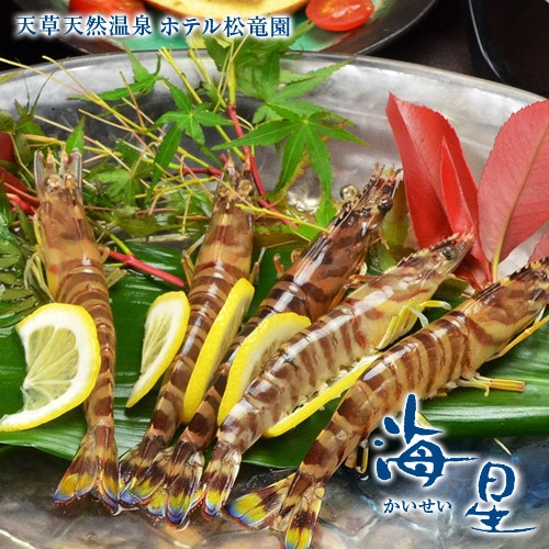 【旬会席】新鮮な魚介を満喫！季節のおもてなし会席